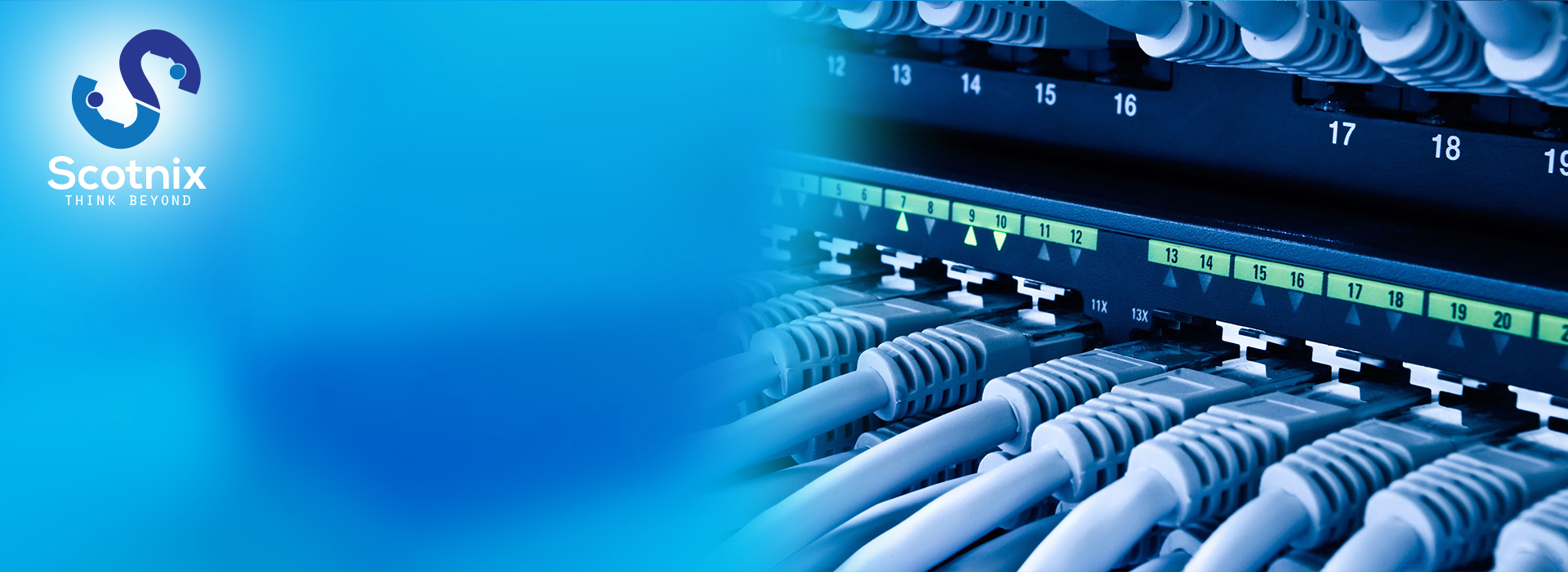 IT Networking & Data Management